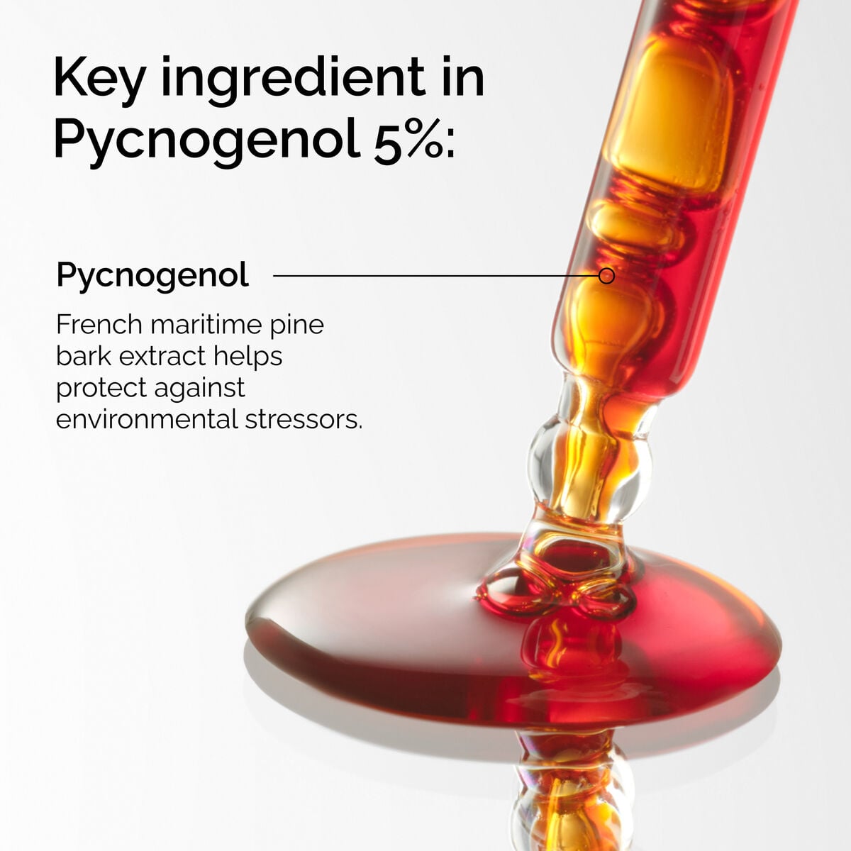 pycnogenol-5-a8 FY25-D41247-ORD-Web-PDP-Pyc-5pct-1x1-EN-2a.jpg