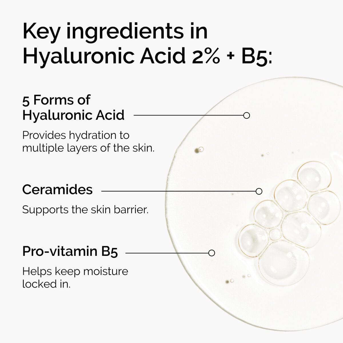 hyaluronic-acid-2-b5-with-ceramides-p4 ord-hyaluronic-acid-2pct-b5-hydrating-serum-ingredients-graphic.jpg
